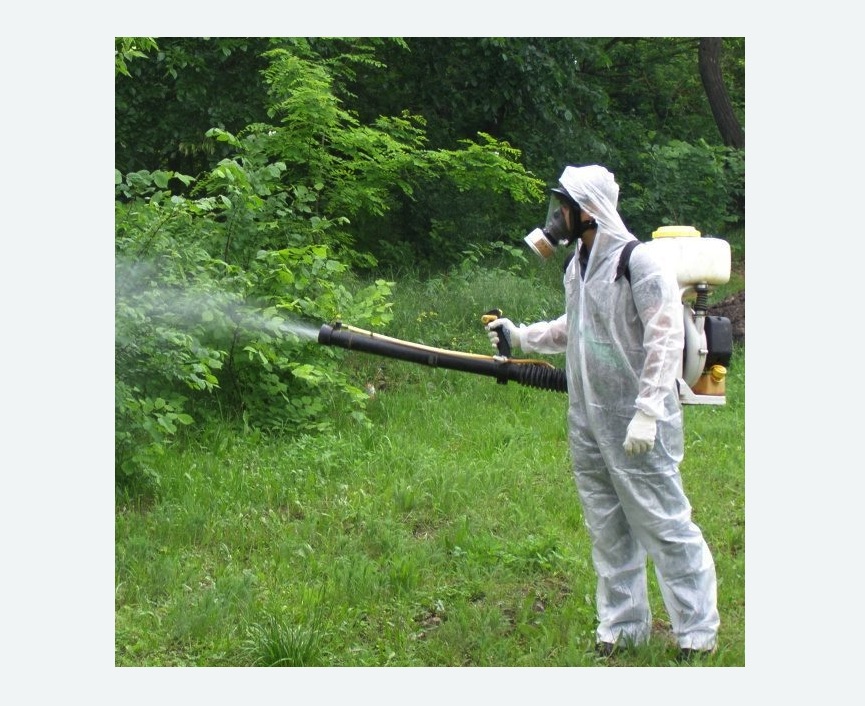 обработка территории от клещей в Боровичах