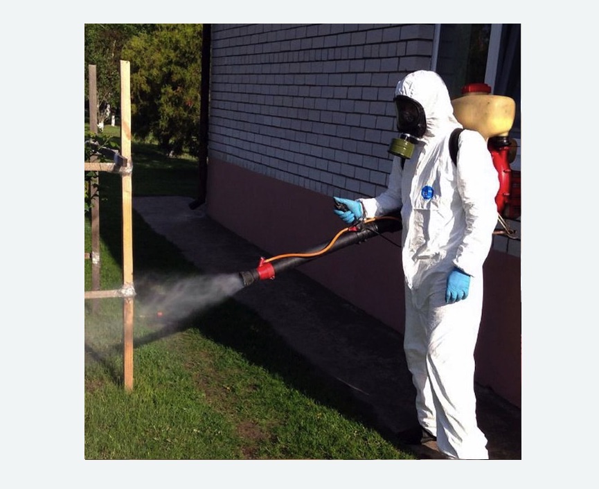 травля клещей на участке в Боровичах