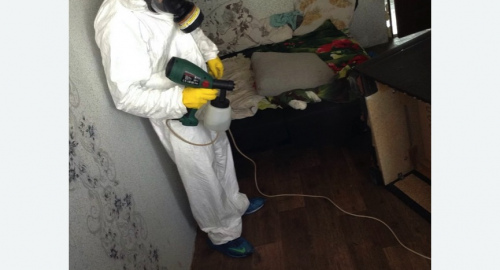 Обработка квартир от насекомых в Боровичах