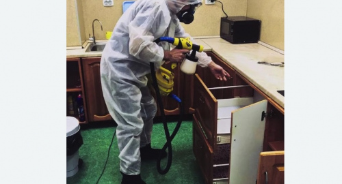 Дезинсекция квартиры. Боровичи