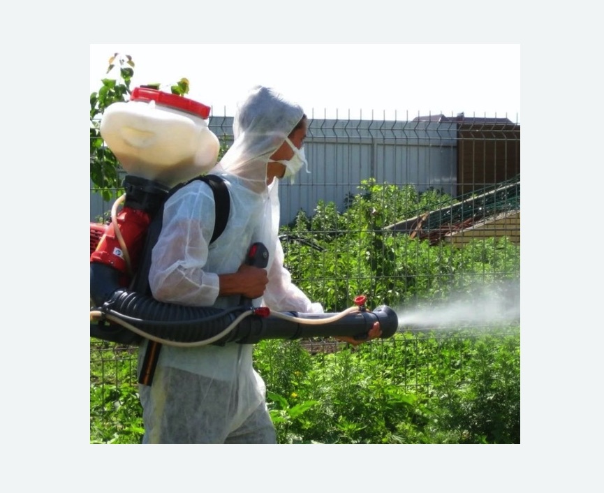 Акарицидная обработка территории в Боровичах