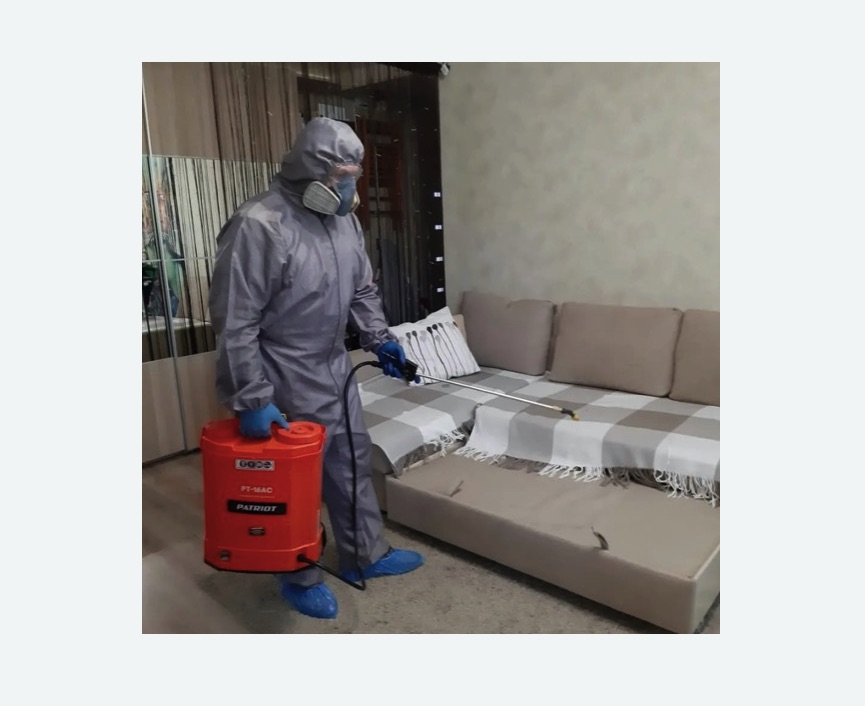 Обработка квартиры от блох в Боровичах Обработка квартиры от блох