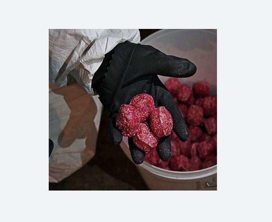 Обработка от крыс в Боровичах