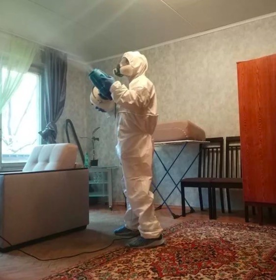 дезинсекция квартиры в Боровичах
