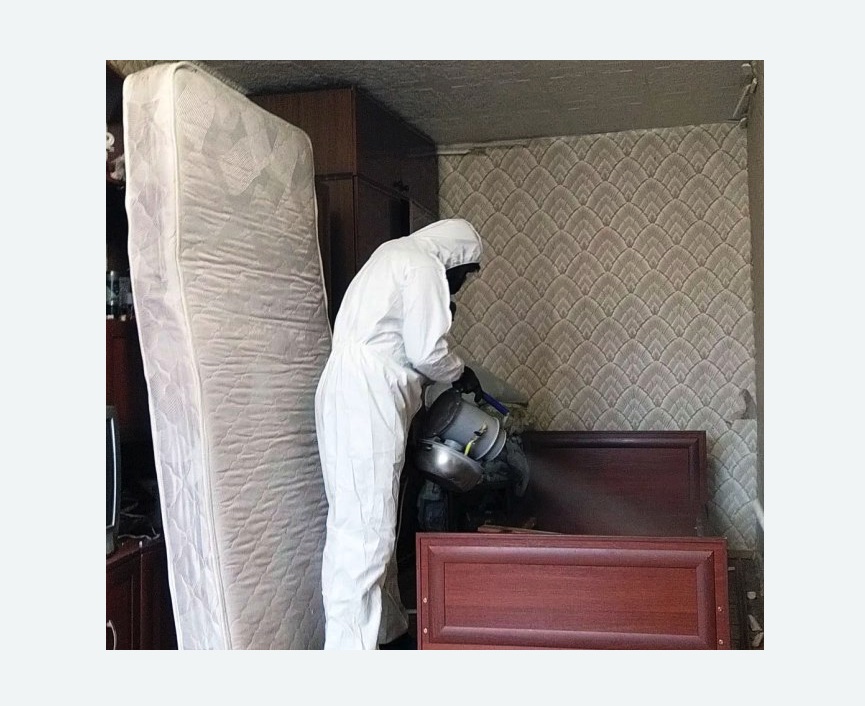 дезинфекция от клопов в Боровичах