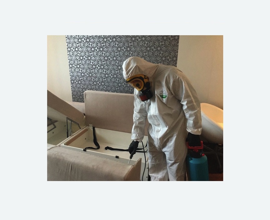 уничтожение клопов в квартире в Боровичах