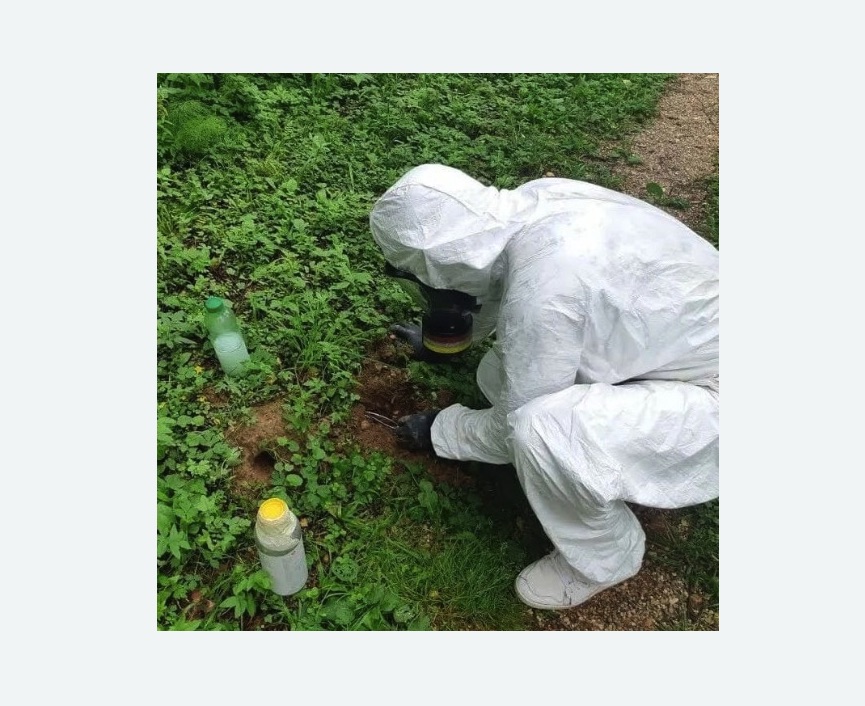 уничтожение кротов на участке в Боровичах