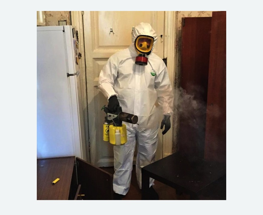 уничтожение муравьев в квартире уничтожение муравьев в квартире в Боровичах